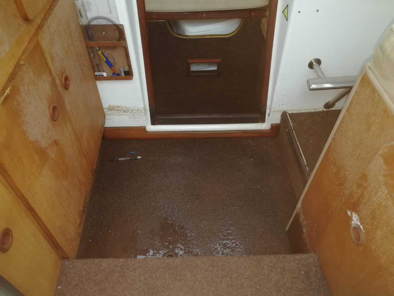A water logged carpet.